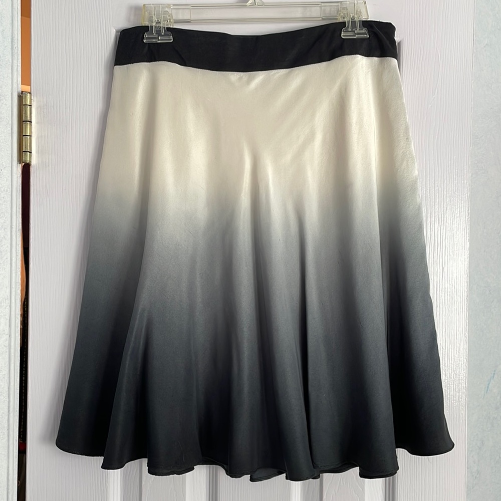 Ombré Skirt